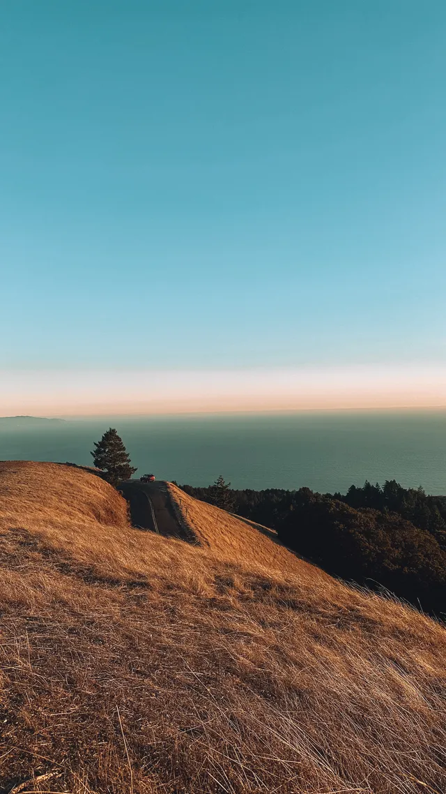 Hillside at dusk, photo by Borombo